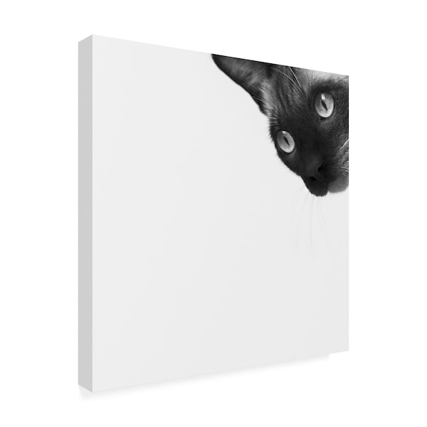 Jon Bertelli 'Be Brave Siamese' Canvas Art,18x18